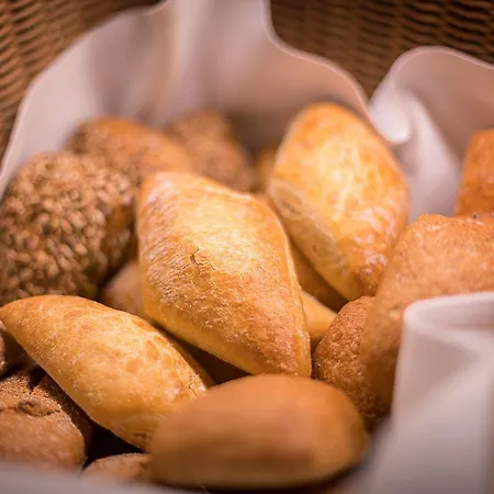 Biohotel Wilhelmshoeher Tor Hotel Kassel