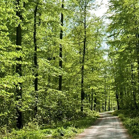 Hotel Biohotel Wilhelmshoeher Tor