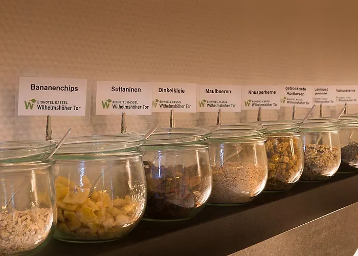 ホテル Biohotel Wilhelmshoeher Tor カッセル