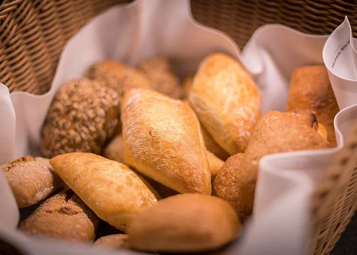 Biohotel Wilhelmshoeher Tor ホテル カッセル