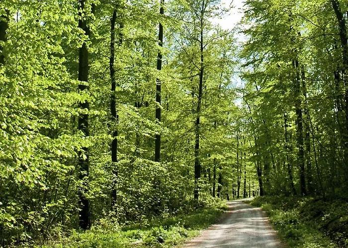 Hotel Biohotel Wilhelmshöher Tor